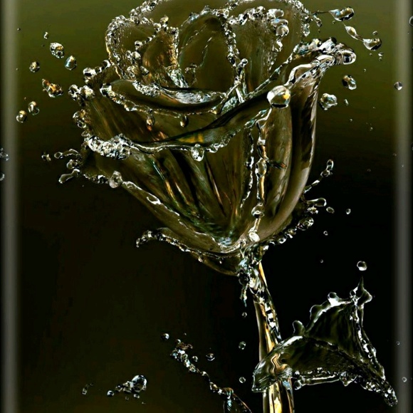 Meet your Posher, Chris - Picture 1 of 1